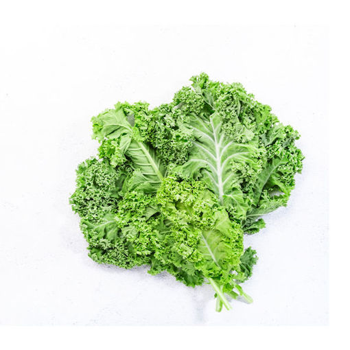 Picture of KALE GREEN