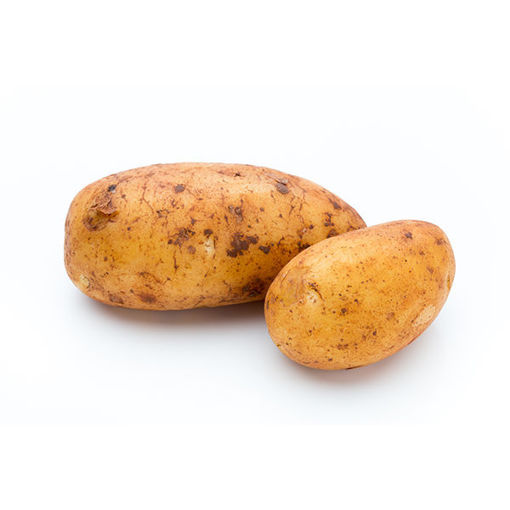 Picture of Potato Russet