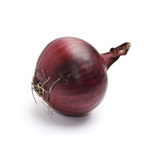 Picture of Onion Red