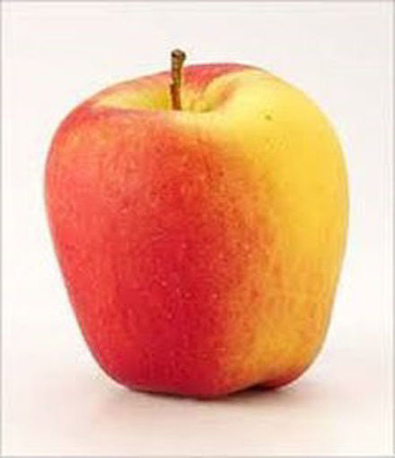 Picture of Apples Ambrosia