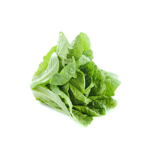 Picture of Lettuce Romaine