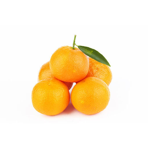 Picture of Oranges Valencia