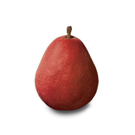 Picture of Pears Red Danjou