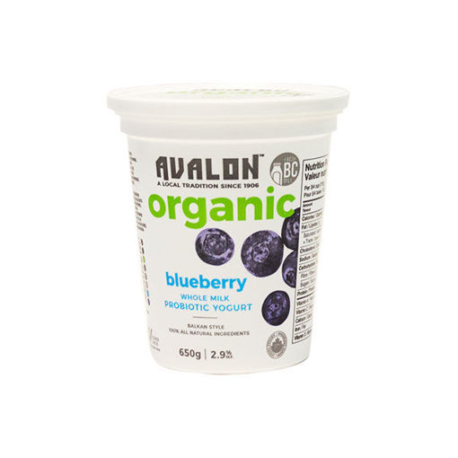 Picture of Yogurt Blueberry