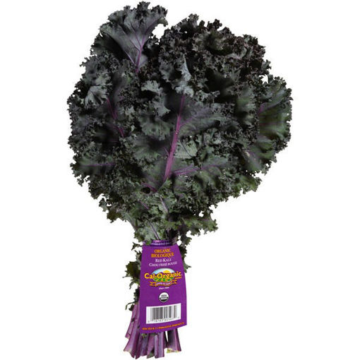 Picture of KALE RED