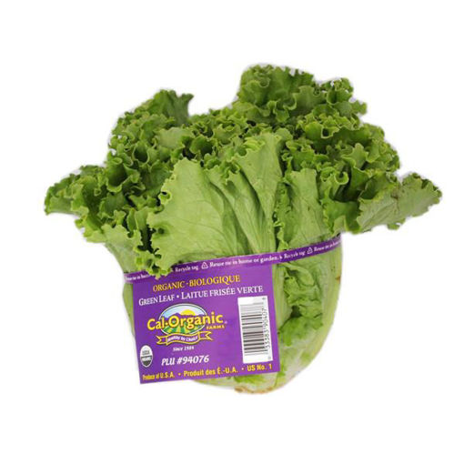 Picture of LETTUCE GREEN LEAF BC*