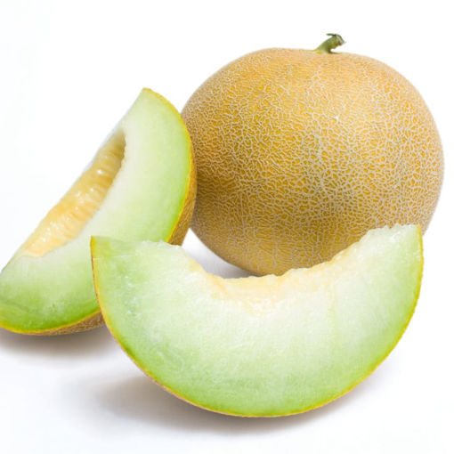 Picture of MELON HONEYDEW