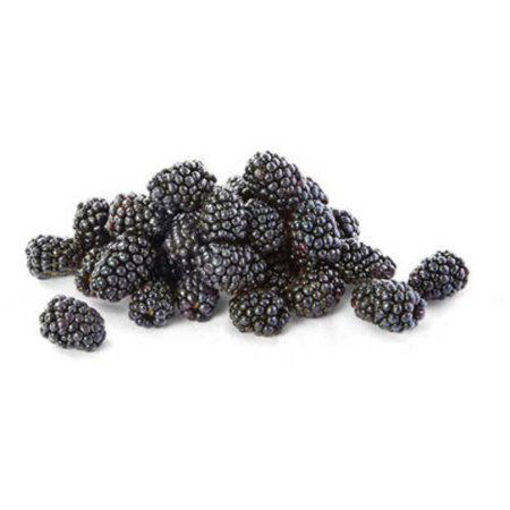 Picture of BLACKBERRY CLAMSHELL FCY 6OZ CA