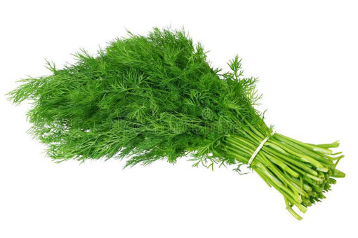 Picture of DILL BUNCH CABC*