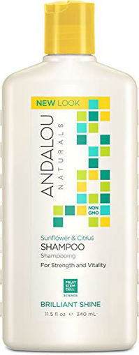 Picture of ANDALOU BRILLIANT SHINE SHAMPOO 340ML