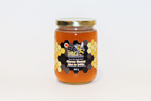 Picture of Clover Honey 500g