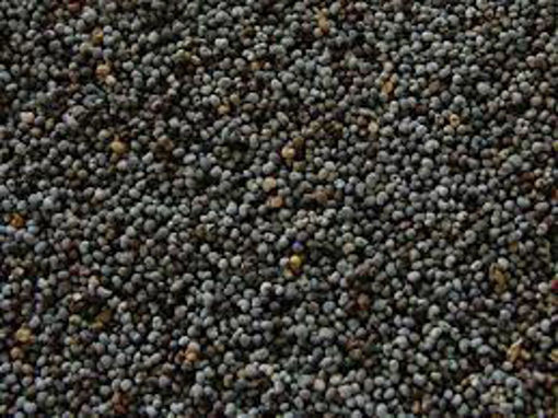 Picture of Organic Poppy Seeds 250g