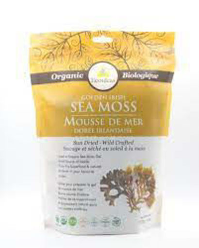Picture of SEA MOSS