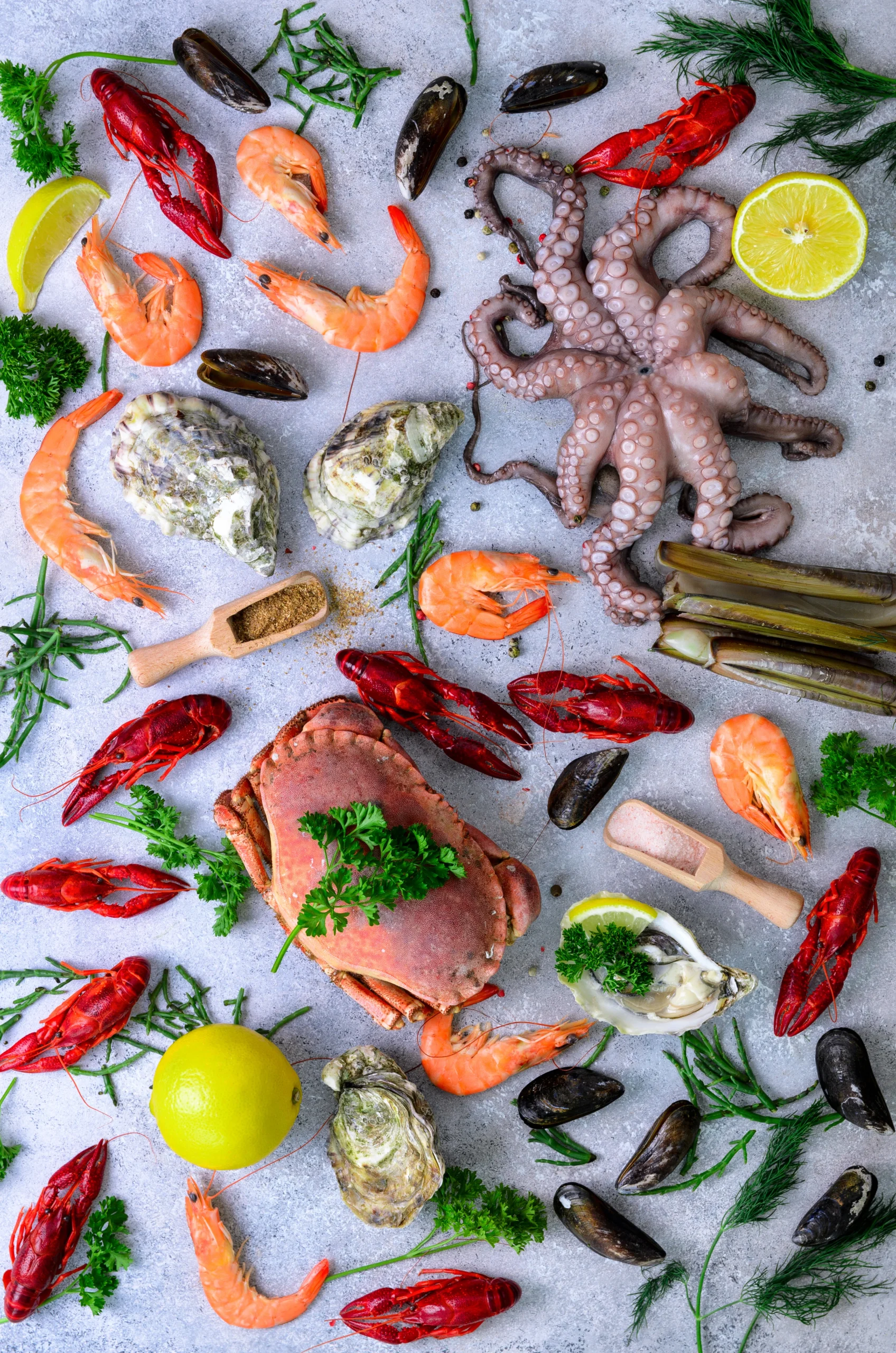 seafood-background-fresh-mussels-molluscs-oyst-2024-10-16-22-09-18-utc